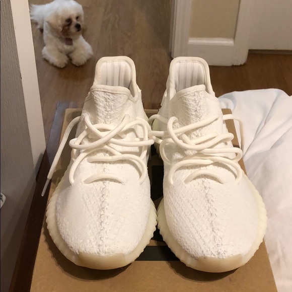 yeezy boost 350 v2 cwhite